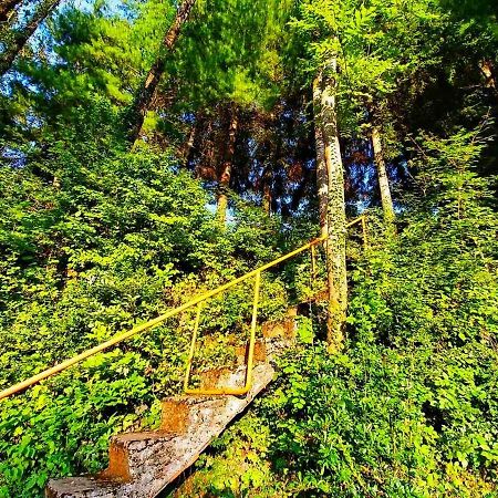 Kuca Za Odmor "Livadica" Villa Netretic Buitenkant foto