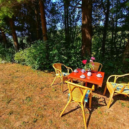 Kuca Za Odmor "Livadica" Villa Netretic Buitenkant foto