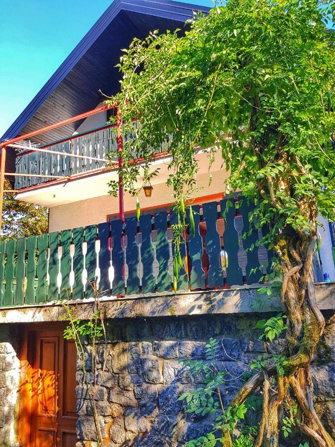 Kuca Za Odmor "Livadica" Villa Netretic Buitenkant foto