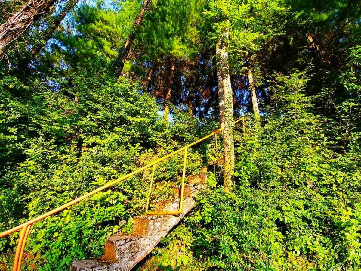Kuca Za Odmor "Livadica" Villa Netretic Buitenkant foto